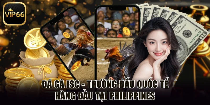 Đá gà ISC