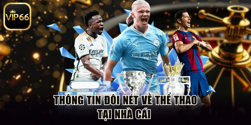 Thông tin đôi nét về thể thao tại nhà cái