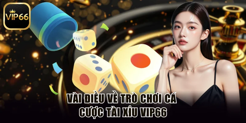 Vài điều về trò chơi cá cược tài xỉu Vip66